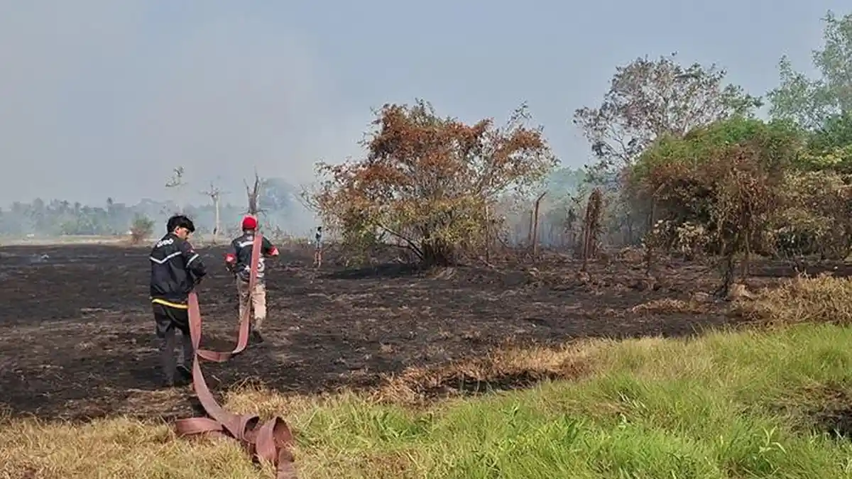 233 Orang Jadi Tersangka Kasus Karhutla, Korporasi di Kalsel Menjadi ...