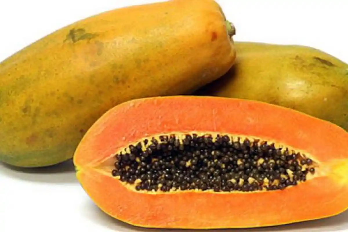 Merugilah Anda yang Membuang Biji Buah Pepaya, Ini Khasiatnya