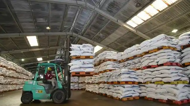 Skema Subsidi Pupuk Dirombak, Perpres 113/2025 Jadi Pendorong Efisiensi Industri 