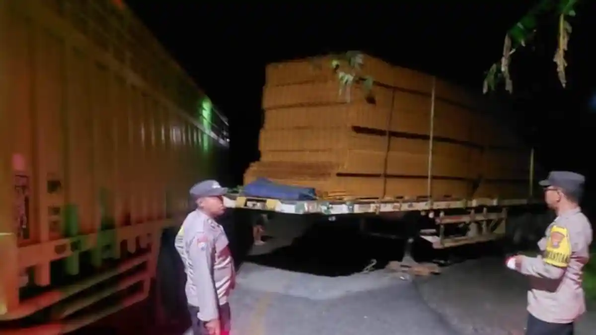 2 Truk Senggolan di Jalinbar Semaka Tanggamus, Arus Lalu Lintas Sempat Lumpuh Total