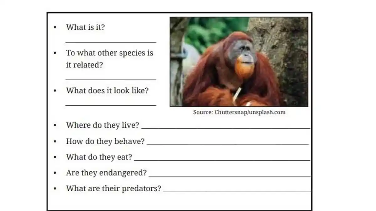Kunci Jawaban Bahasa Inggris Kelas 9 Halaman 39 Kurikulum Merdeka: Listening Unit 1 Bekantan