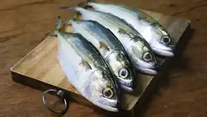9-Manfaat-dan-Kandungan-Nutrisi-Ikan-Kembung-Ternyata-Tak-Hanya-Cocok-untuk-MPASI-Tapi-Ini.jpg