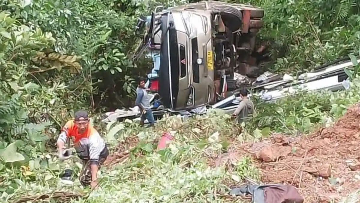 Detik-detik Bus Terjun ke Jurang di Palopo, 4 Penumpang Tewas