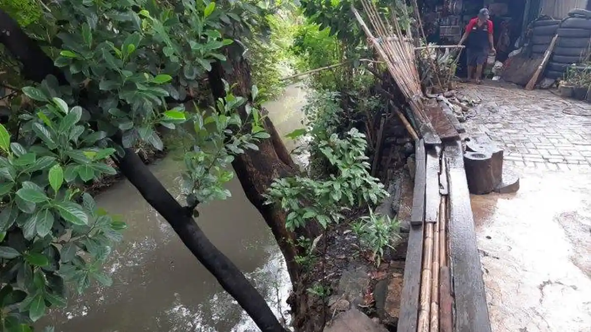 KAGET Warga Lihat Potongan Tubuh Tersangkut Pohon, Bagian Lain di Tempat Sampah, Polisi: Korban Pria