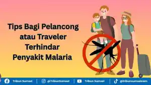 tips-mencegah-malaria.jpg