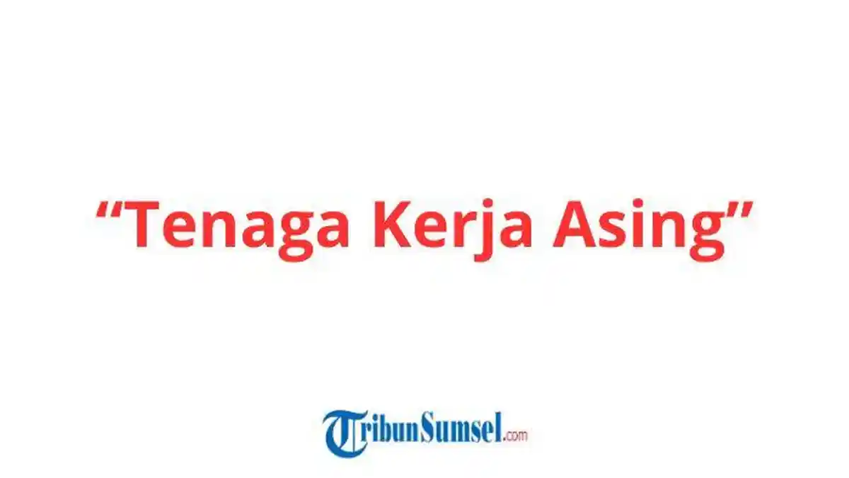 Sepanjang 2025, ada 1.619 TKA Bekerja di Sumsel, 70 Persen Diantaranya Dari China
