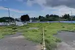 Dermaga Feri Airnanang di SBT Terbengkalai, Dipenuhi Semak dan Sepi Aktivitas