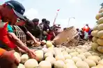 Strategi Baru Petrokimia Gresik Kembangkan Smart Farming, Petani Makin Untung dan Modern