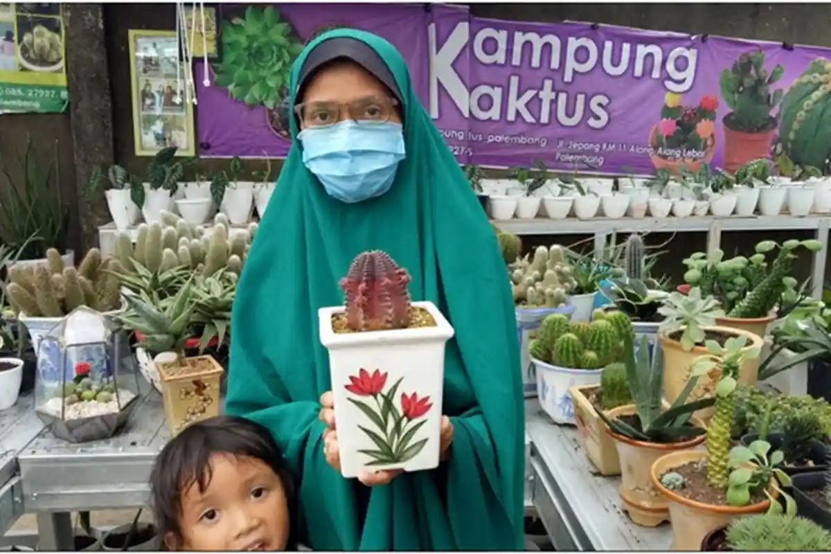 5 Cara Merawat Kaktus dengan Benar