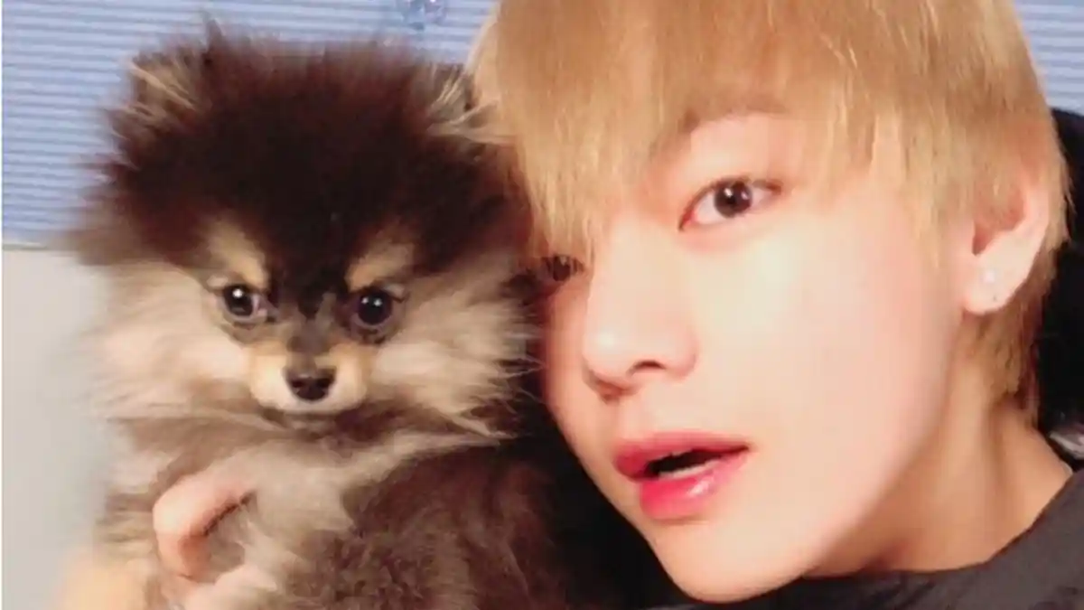 Lakukan Hal ini Pada Peliharaannya, V BTS Tuai Pujian dari Pelatih Anjing Ternama