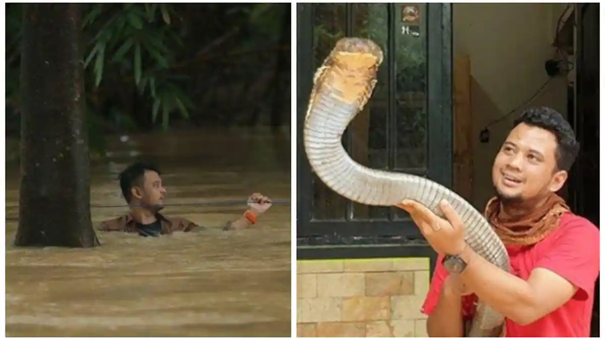 Dramatisnya Panji Petualang Lepas Ular King Kobra Garaga, Panji Bertaruh Nyawa Turun ke Sungai