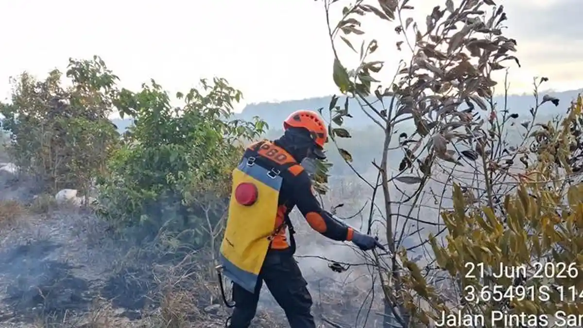 Kesulitan Tim Saat Padamkan Karhutla di Desa Pulausari Tambangulang Tanahlaut Kalsel - Banjarmasinpost.co.id