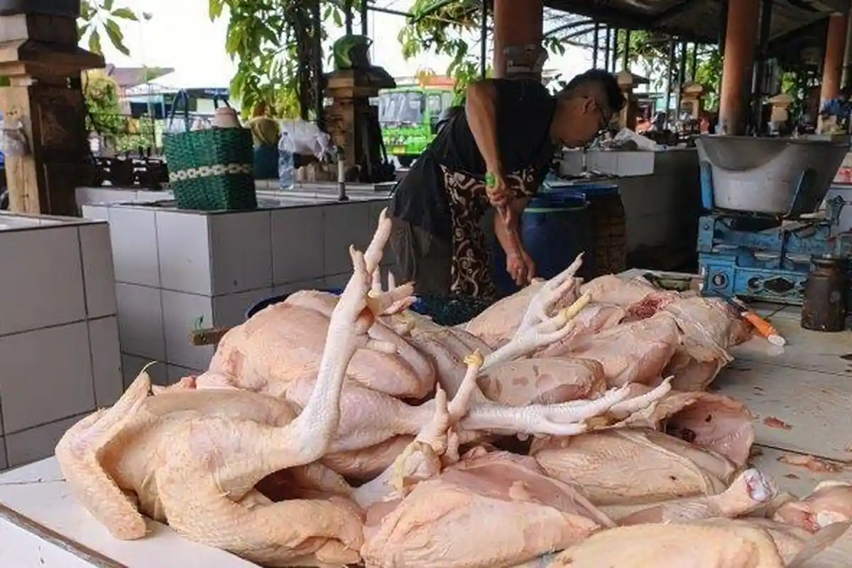 Arti Mimpi Ayam Dipotong, Ternyata Bisa Jadi Pertanda Buruk, Ini Tafsir Lengkapnya