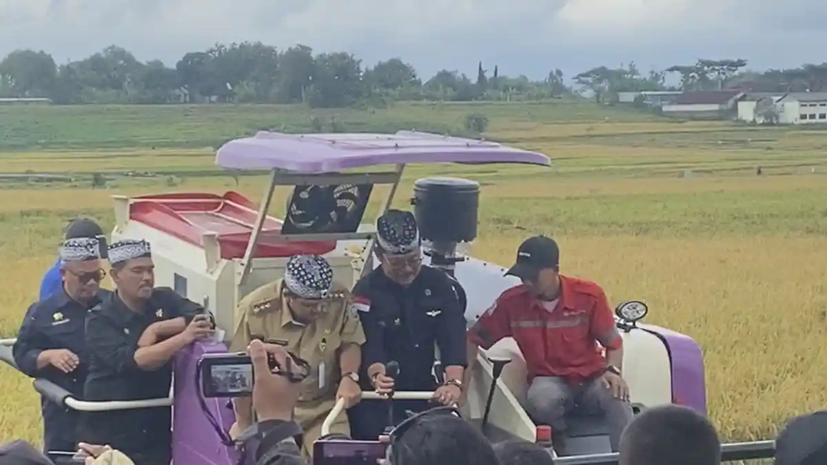 Mentan SYL: Panen Raya Padi Maret 2023 Capai 1,9 Juta Ton, Stok Beras Aman Hingga Lebaran