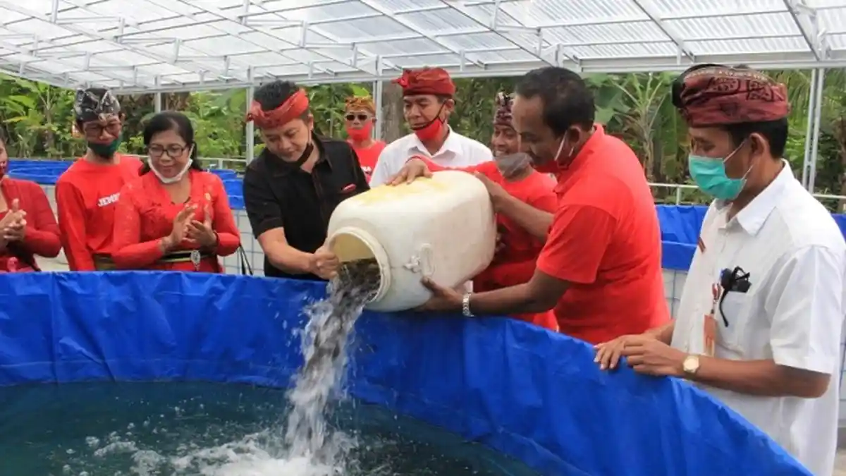 Dukung Ketahanan Pangan, Wabup Kembang Hartawan Tebar 28 Ribu Benih Ikan Lele