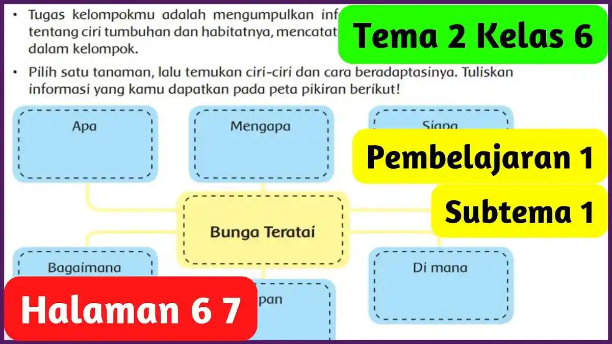 Soal & Kunci Jawaban Buku Tematik Tema 2 Kelas 6 SD Halaman 6 dan 7 : Daun Teratai Bundar dan Lebar