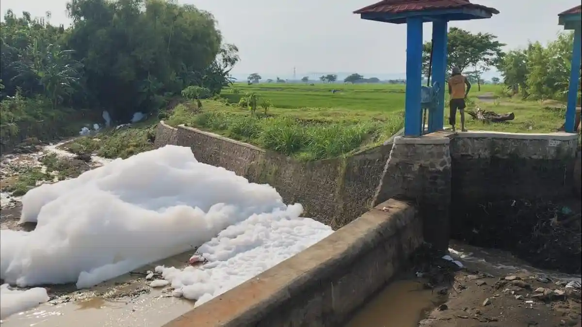 Sungai di Margorejo Pati Mendadak Dipenuhi Busa, Warga Duga Dampak Limbah
