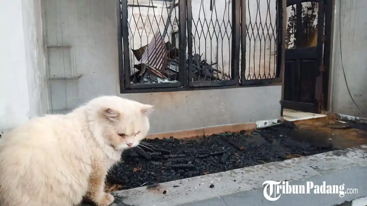 Rumah Terbakar Saat Hujan di Kota Padang, Diduga Terjadi Korsleting Listrik
