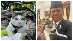 Bobby-Kertanegara-kucing-Presiden-Prabowo-tuai-perdebatan.jpg