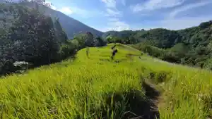 Nama-nama-Bukit-di-Landak-Kalbar-Terbaru-2026-Lengkap-Jalu-dan-Rute-Pendakian.jpg