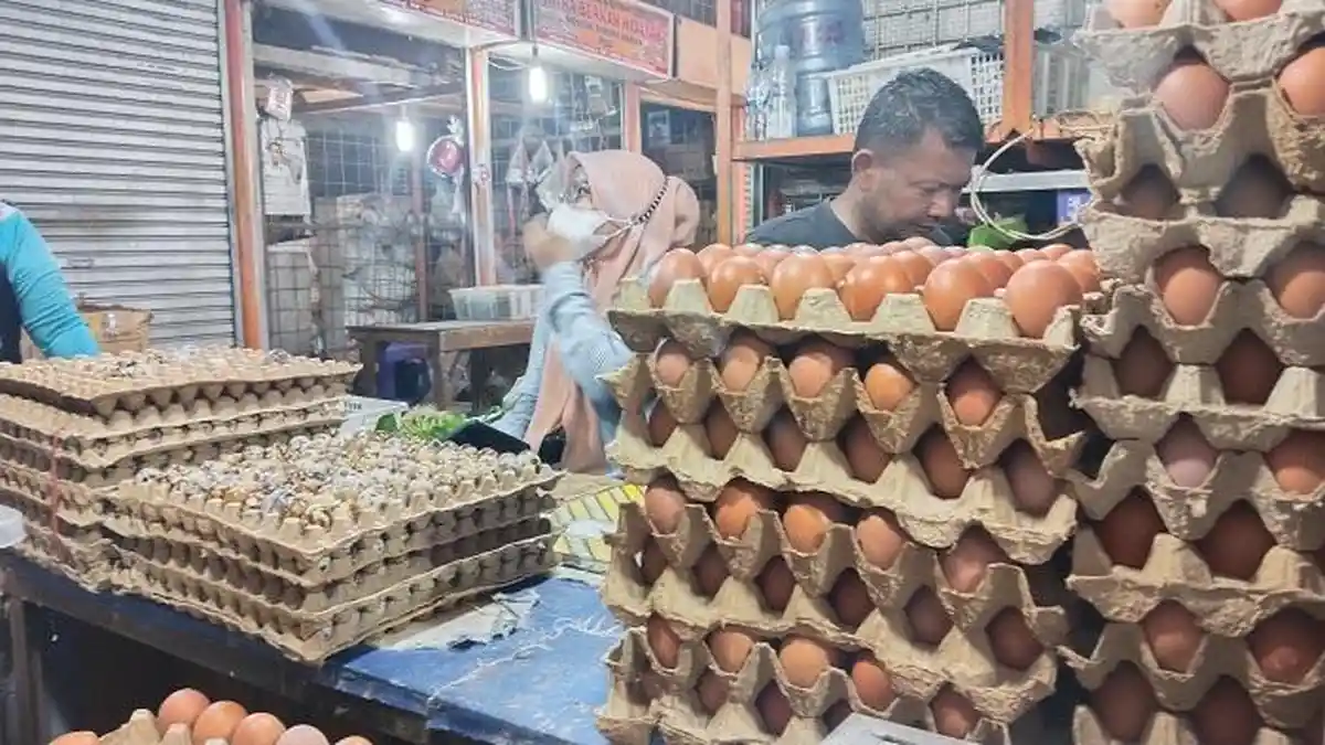 Hari Pertama Ramadhan Harga Telur Ayam di Padang Merangkak Naik, Rp 55 Ribu per Papan