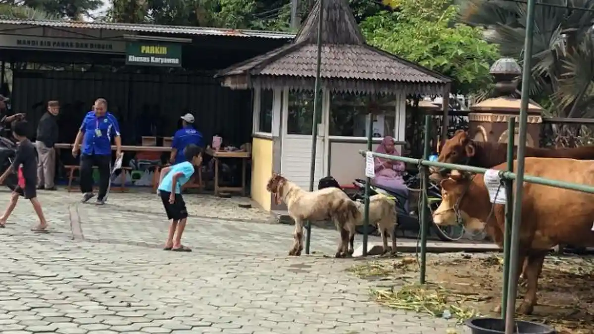 Curhatan Takmir Masjid An-Nuur Soal Pemkot dan DPRD Kota Batu yang Absen Beri Hewan Kurban