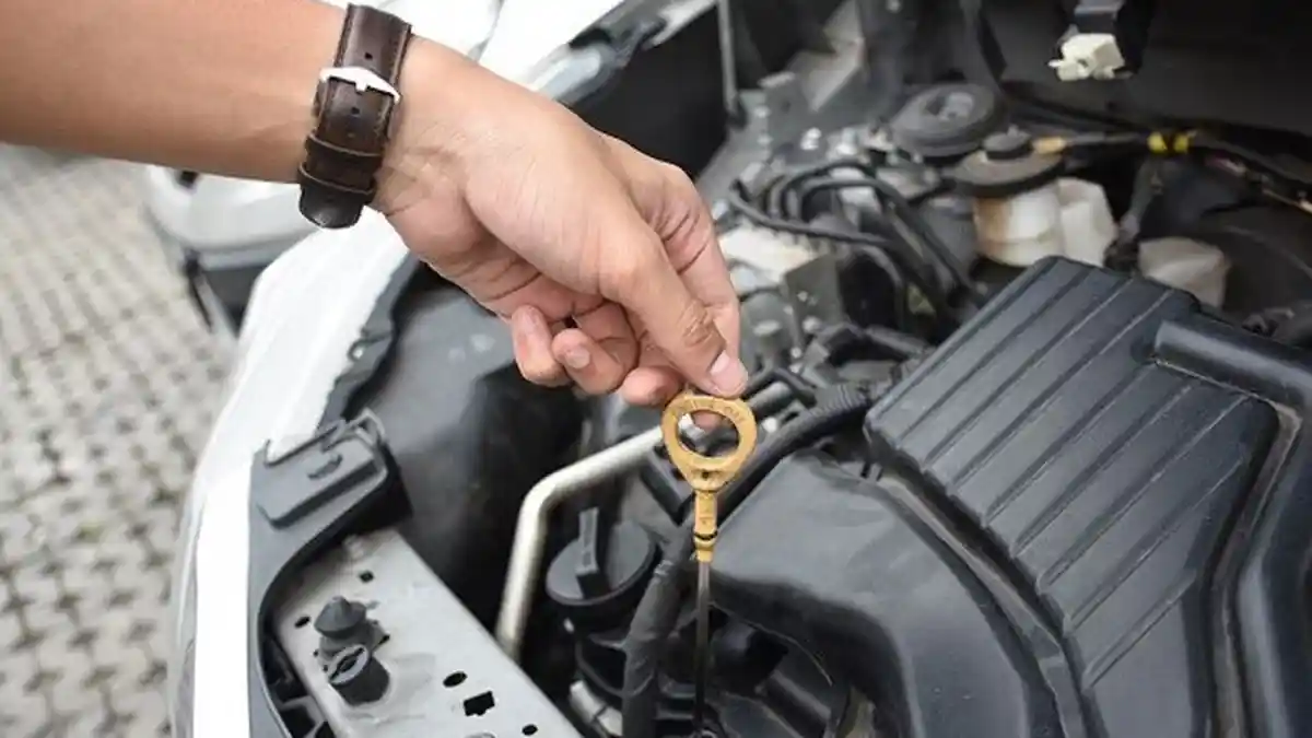 Begini Cara Cek Volume dan Kualitas Oli Mesin Mobil, Ternyata Gampang Sekali Lho