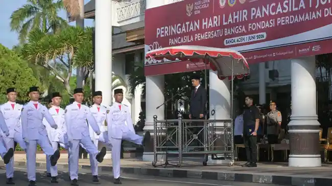 Tribun