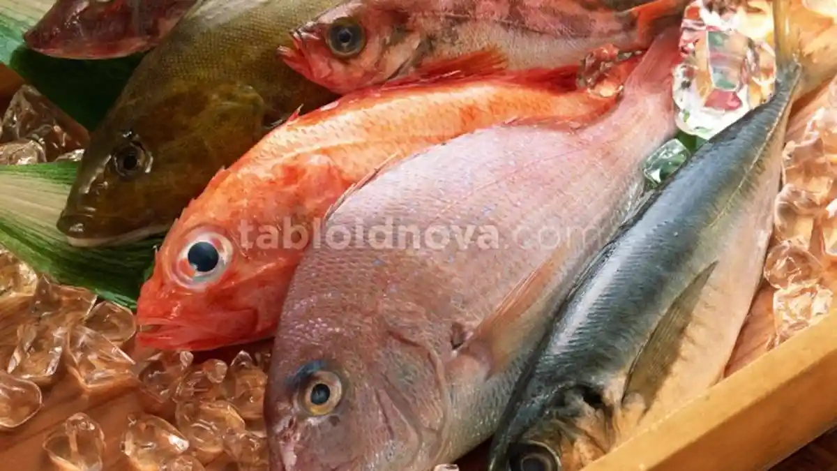 Terpapar Merkuri Tinggi, Jangan Makan Jenis-jenis Ikan Laut ini!