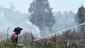 Kebakaran-Lahan-Terjadi-di-Dua-Gampong-di-Samatiga_2026_.jpg