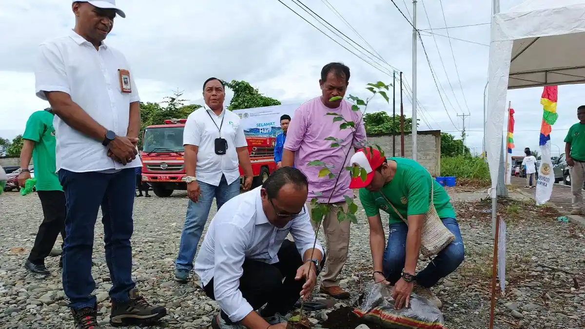3 Daerah Sekaligus Hujan Petir, Berikut Info Cuaca di Papua Tengah