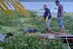 Jenazah Pria Mengapung di Danau Sentani, Warga Jayapura Diminta Lapor Anggota Keluarga Hilang