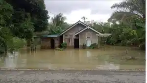 14-Rumah-di-Tebo-Terdampak-Banjir-Imbas-Hujan-Lebat.jpg
