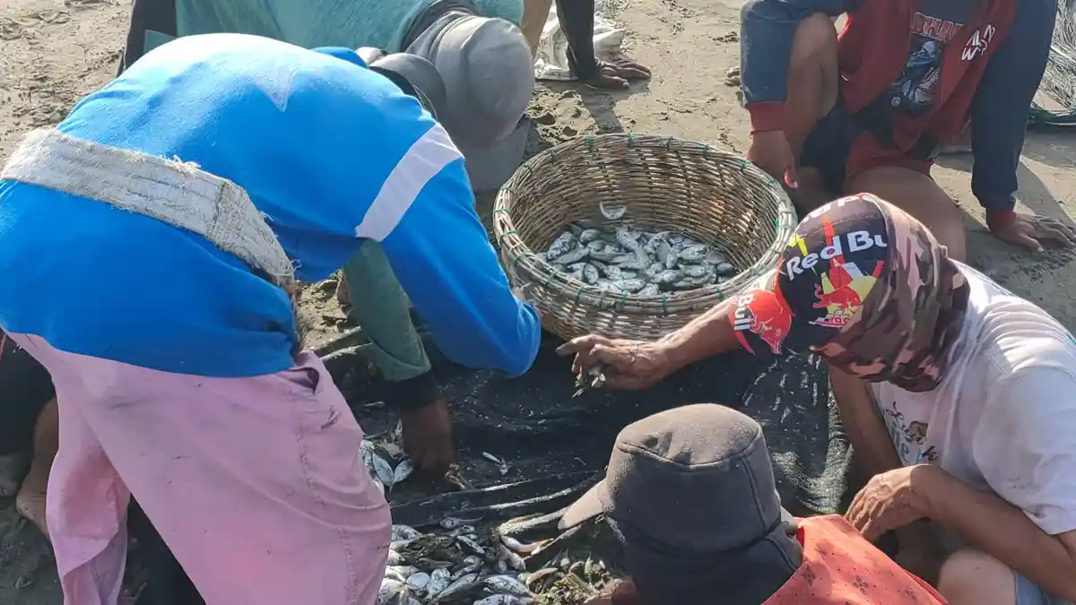 Dampak Angin Kencang dan Pasang Air Laut, Tangkapan Nelayan Gampong Baro Minim