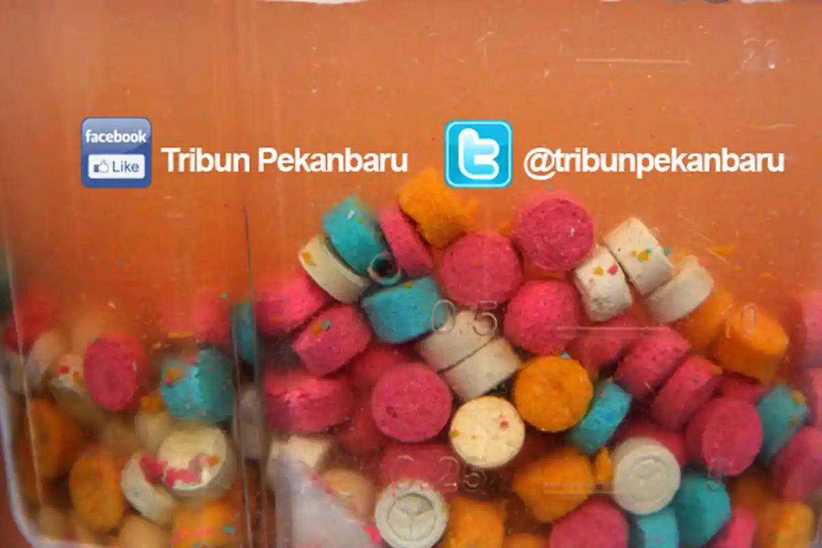 Kerap Putar Musik Klasik, Ternyata Warga Di Tasikmalaya Ini Jadikan Rumahnya Pabrik Narkoba