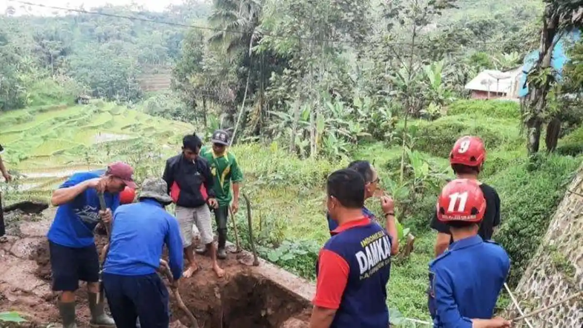 Damkar Garut Bongkar Sarang Sanca Raksasa yang Diduga Ular Jadi-Jadian
