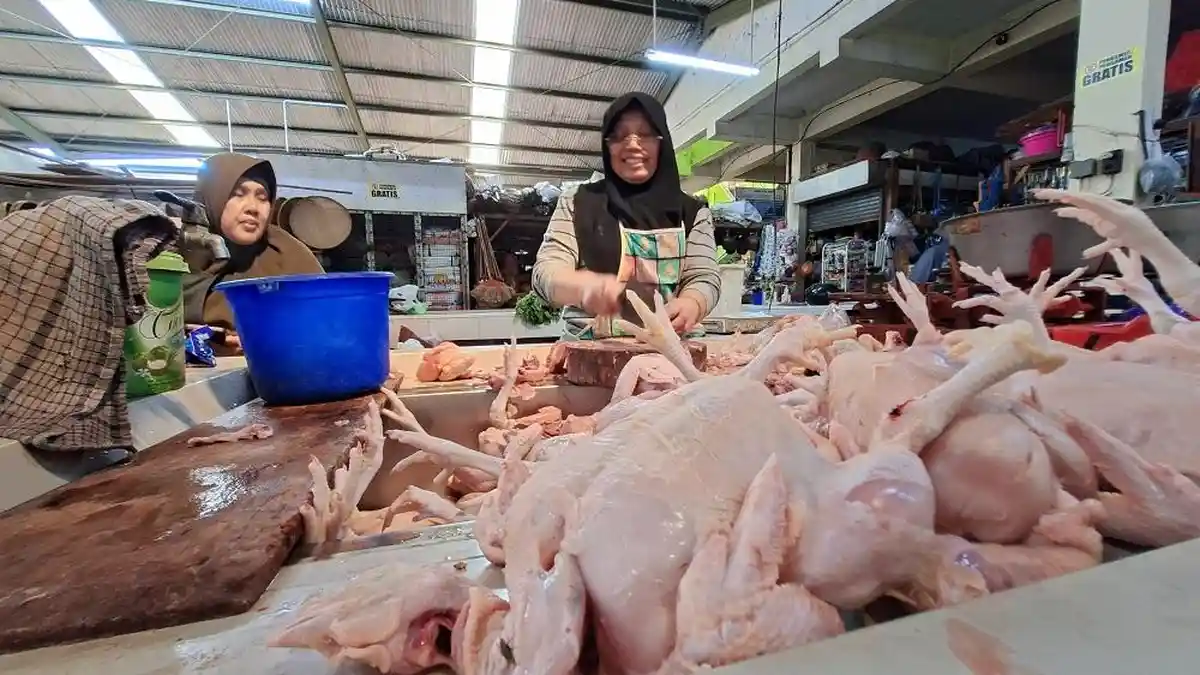 Warga Kulon Progo Senang Harga Bapok Jadi Murah Karena MBG Diliburkan, Ini Harapannya - Tribunjogja.com
