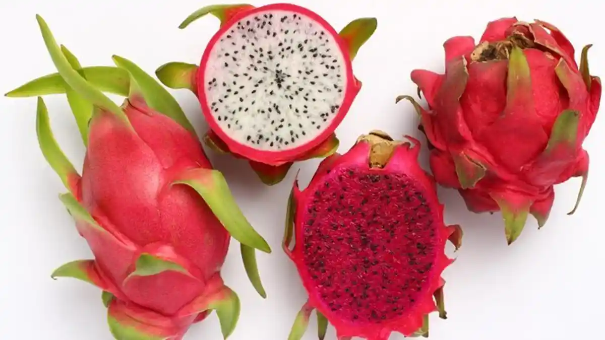 5 Manfaat Buah Naga Bagi Kesehatan, Terutama Untuk Kesehatan Usus