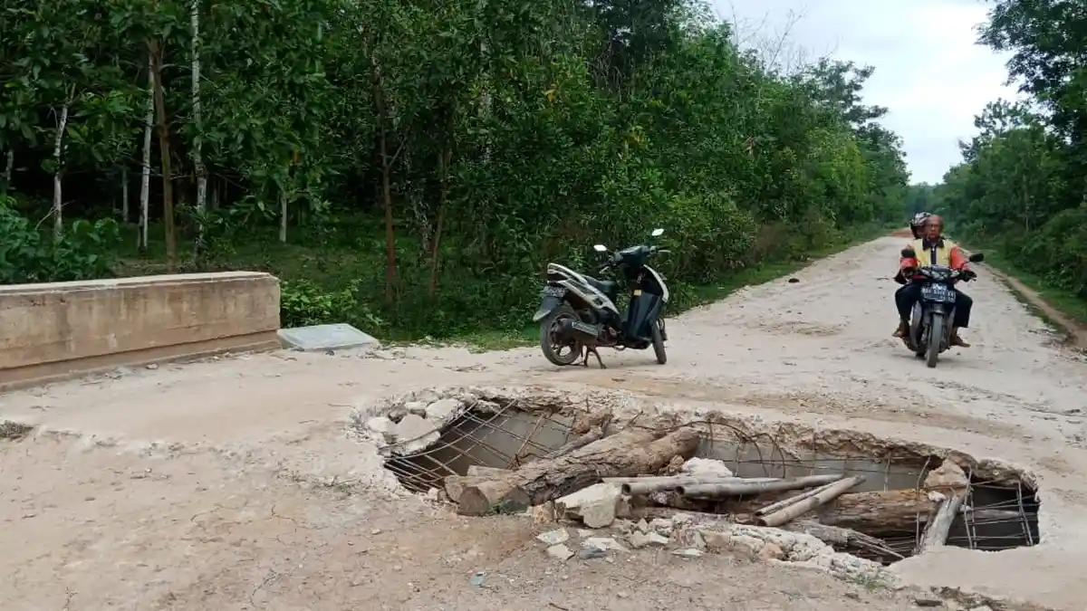 Lubang Besar di Jembatan yang Ada di Desa Harapan Jaya Bahayakan Pengendara