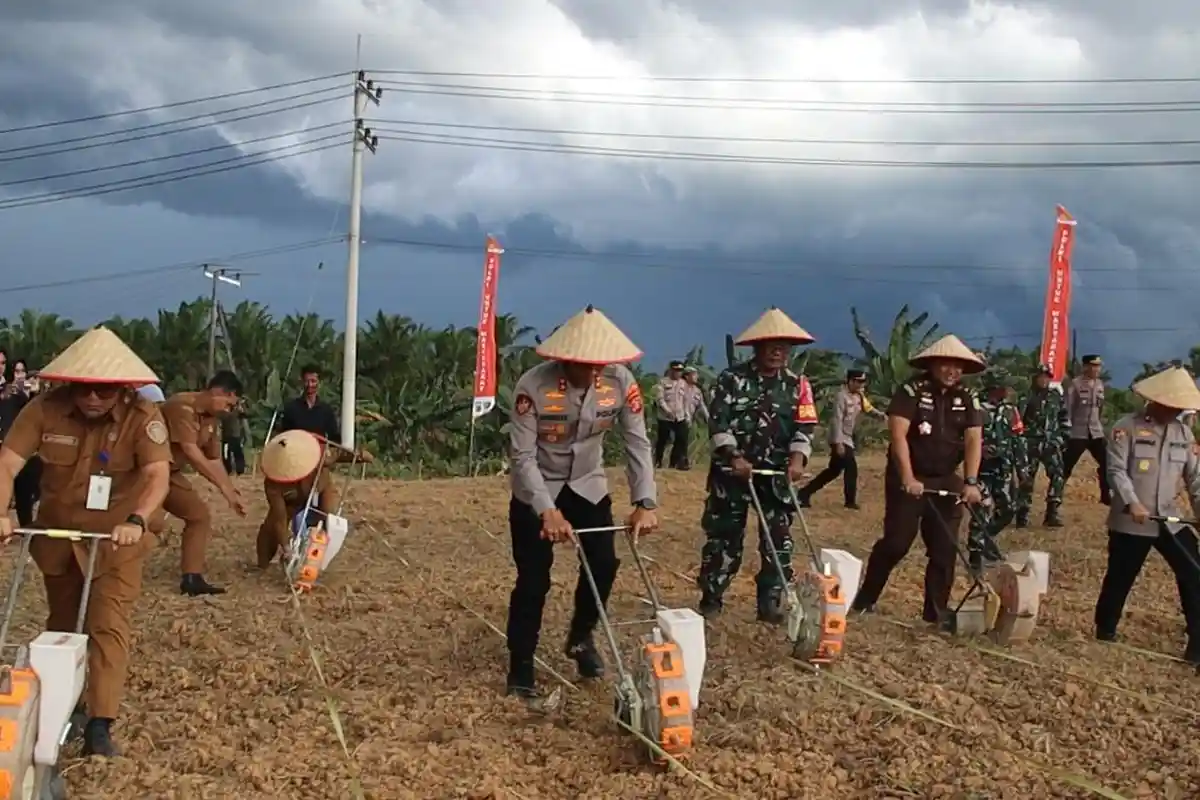 Lahan Tidur di Penajam Paser Utara Mulai Digarap, Jagung jadi Tanaman Perdana