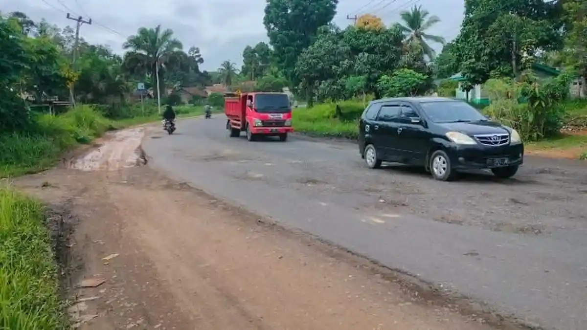Sepanjang 603 Kilometer Jalan di Provinsi Jambi Terdampak Akibat Truk Batubara
