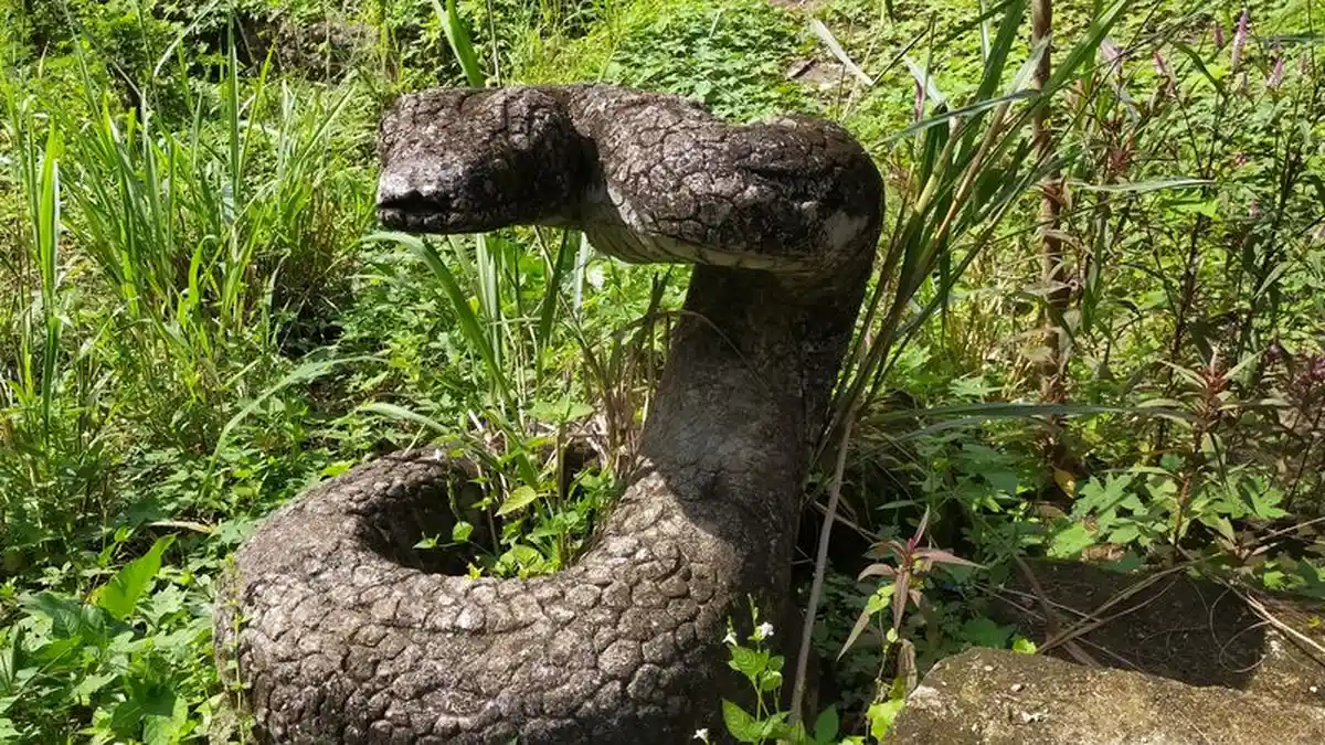 Penampakan Batu Besar Berbentuk Ular, Dibilang Lokasinya di Thailand, Ternyata Ada di Cisolok