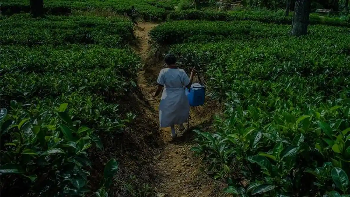 Kembar Transisi: Sri Lanka dan Timor Leste Bekerja Sama untuk Imunisasi Berkelanjutan