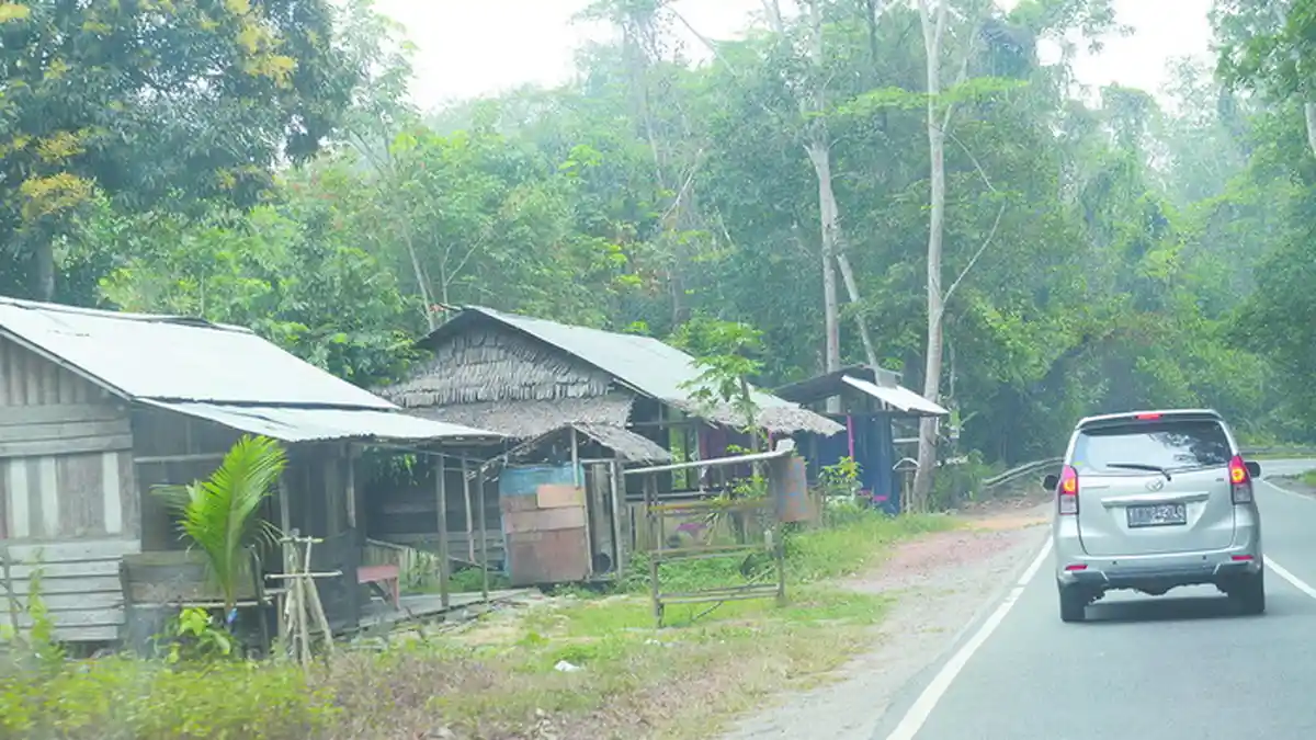 Mirip Benang Kusut, Kerusakan di Bukit Soeharto Makin Parah Ini Sebabnya