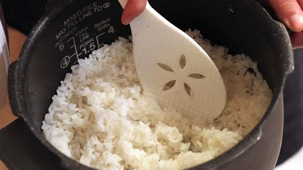 Biar Gak Susah Bersihkan Sisa Nasi Kering di Magic Jar, Simak Trik Mudah Berikut, Ampuh Lho!