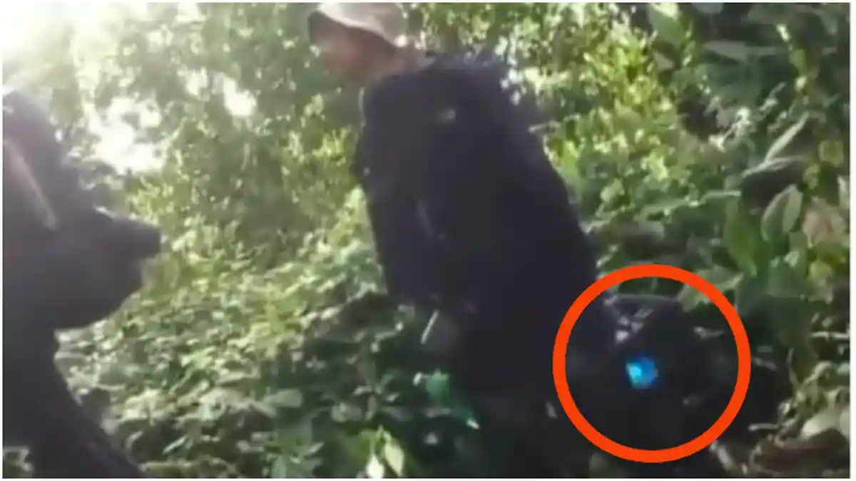 VIRAL Video Pendaki Putar Musik Kencang dengan Speaker Portabel, Pendaki Lain Tampak Terganggu
