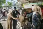 SAPI-PRESIDEN-Bull-sapi-pemberian-Presiden-Prabowo-yang-disembelih-di-Masjid.jpg