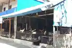Lokasi-penjualan-ayam-potong-milik-Haji-Rahim-di-Kompleks-Pasar-Baru-Mamuju.jpg