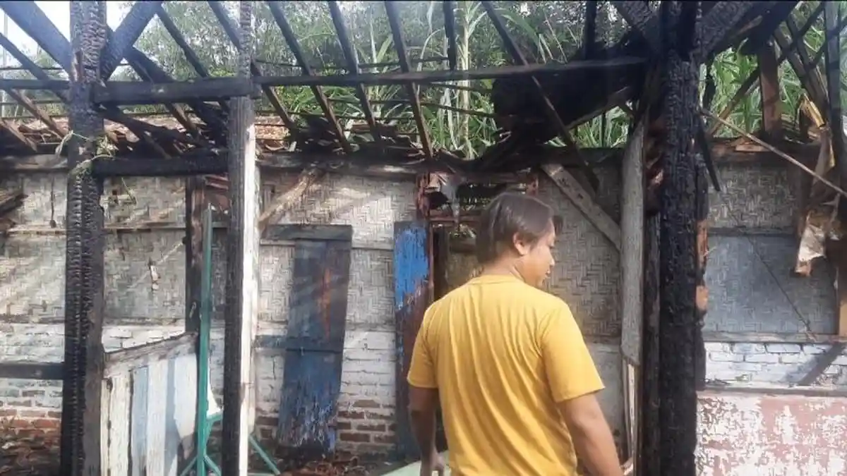 Selamatkan Rumah dari Api, Pemilik Usaha Ternak Jangkrik Putuskan Aliran Listrik