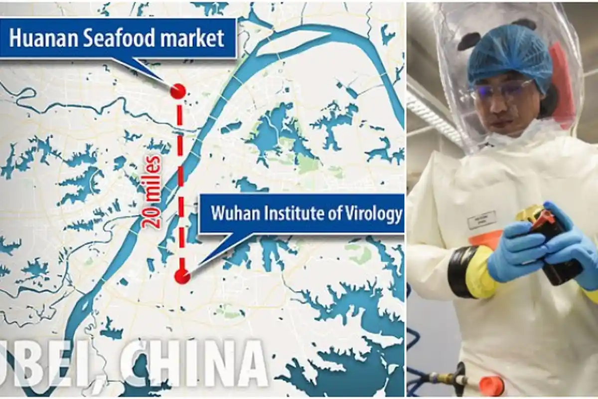 Terungkap! Peneliti China Beberkan Asal Muasal Virus Corona, Berjarak 30 Km dari Lab Virus Mematikan